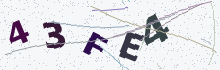 A verification image containing five letters and numbers
